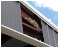 Nest inside Barn (birds got too big to get out and we had to remove the sheet metal to save them!)